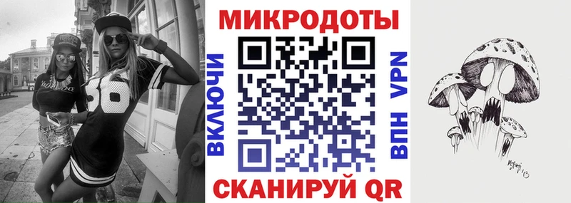 Псилоцибиновые грибы Psilocybine cubensis  Суздаль 